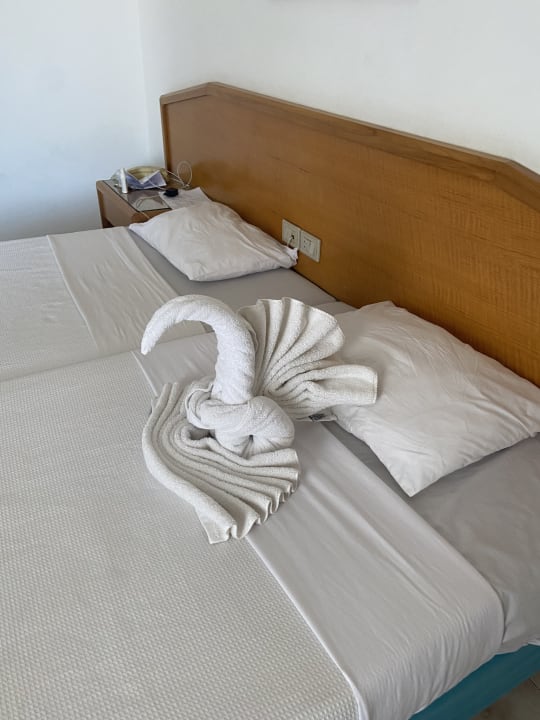 Zimmer Menaville Safaga