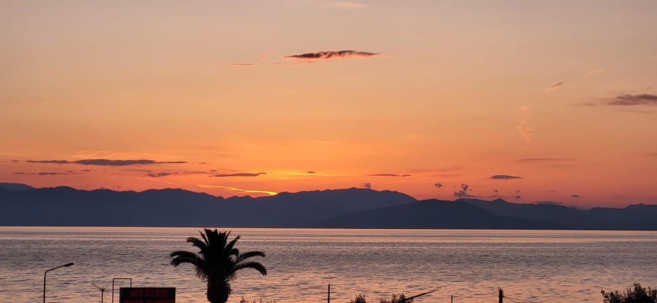 Ausblick Hotel Albatros