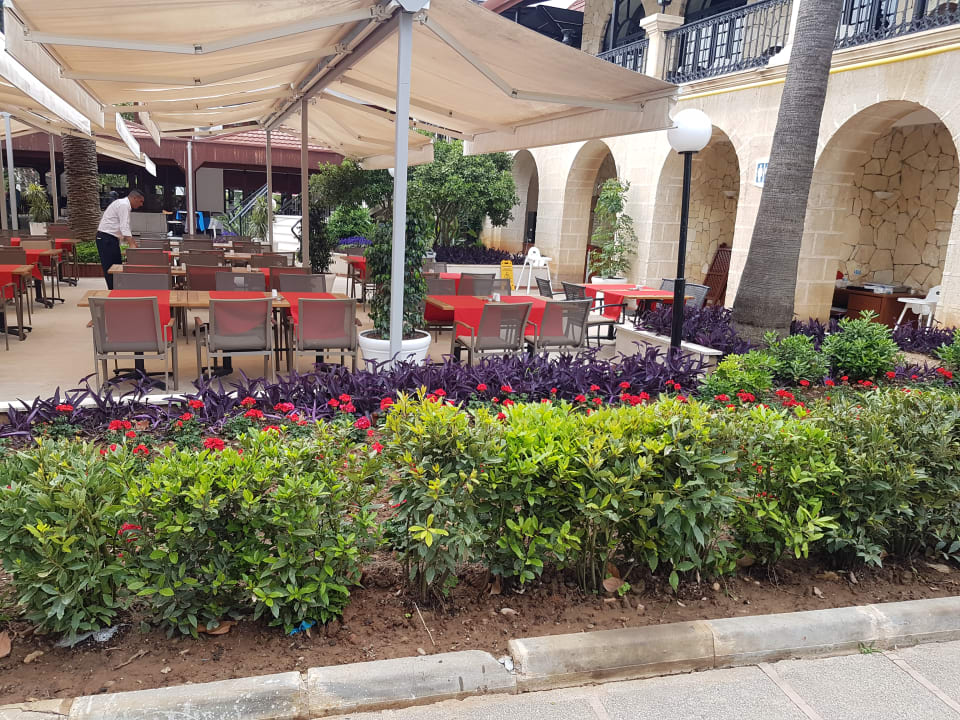 Gastro Labranda Alantur Resort