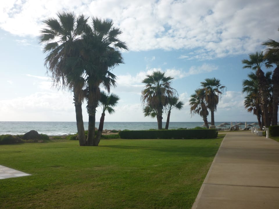 Ausblick Constantinou Bros Athena Royal Beach Hotel