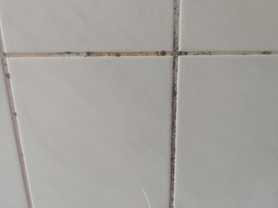 Gartenanlage Florastrasse 18