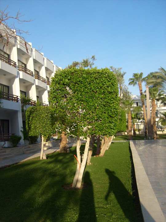 Garten The Grand Hotel Hurghada