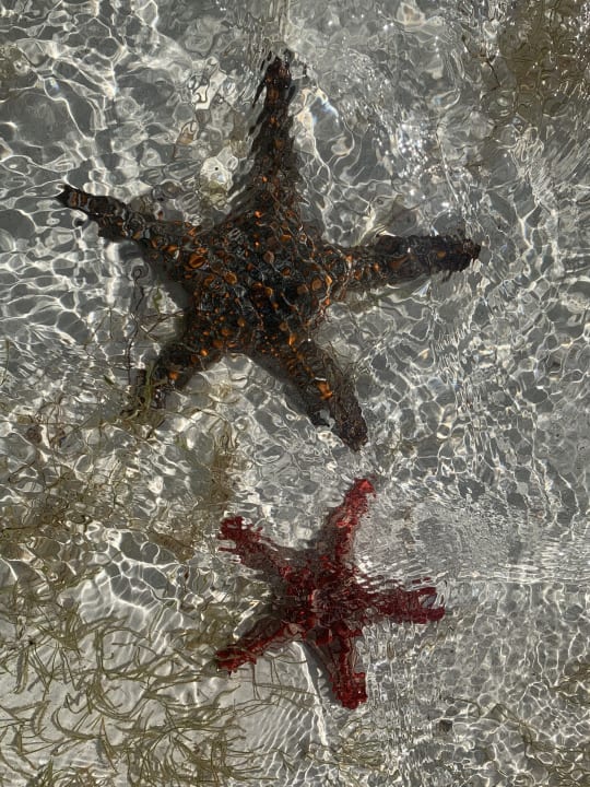 Strand Neptune Village Beach Resort & Spa