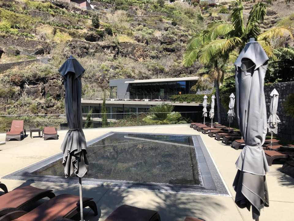 Pool Saccharum