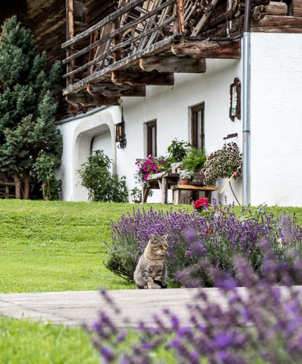 Gartenanlage Bauernhof Christernhof