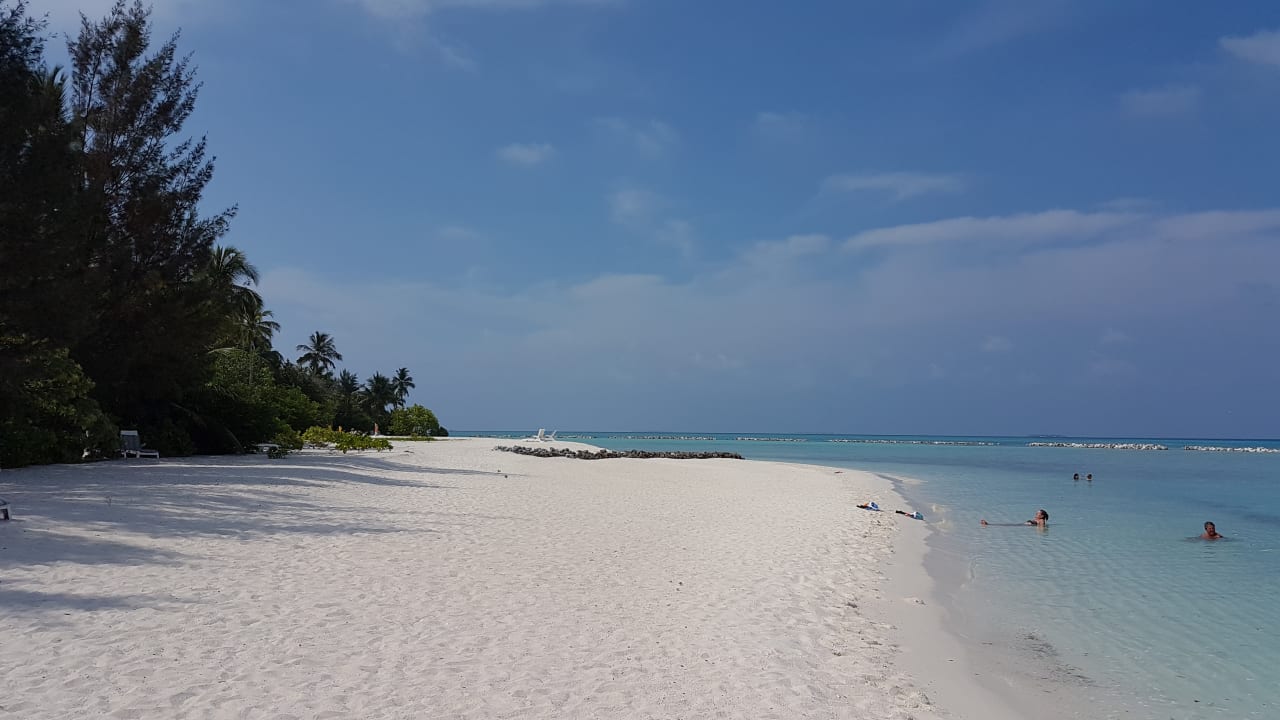 Strand Summer Island Maldives
