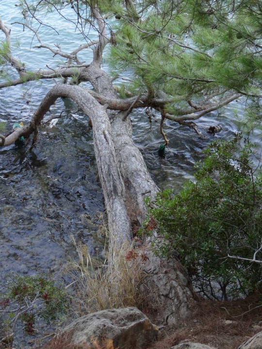 Sonstiges Green Bay Resort & Spa