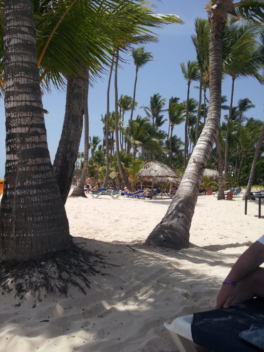 Genug Schatten Hotel Grand Palladium Palace Resort, Spa & Casino