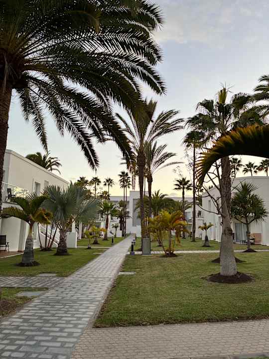 Gartenanlage Hotel Riu Palace Meloneras