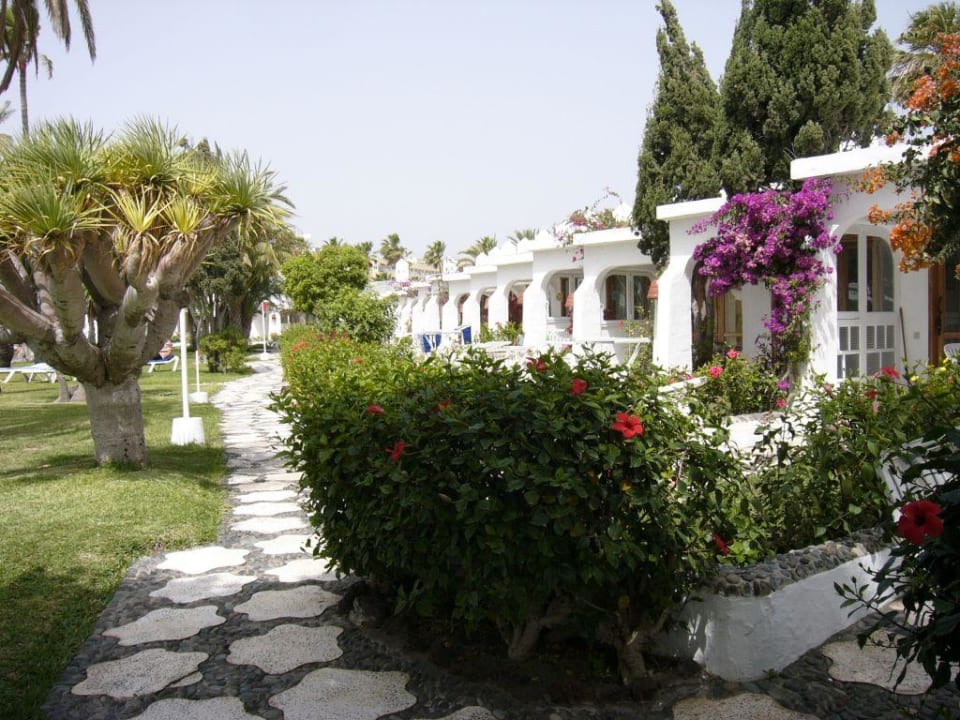 Die Bungalows Sahara Beach Club