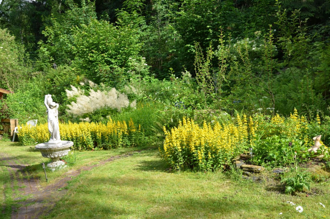 Der Garten - ein Ausschnitt Frauenpension Arleta
