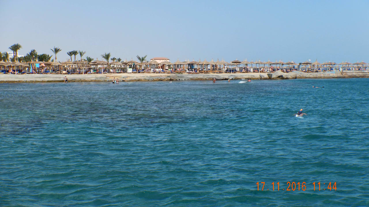 Hausriff Beach Albatros Resort