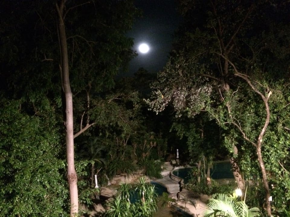 Strand The Fair House Beach Resort