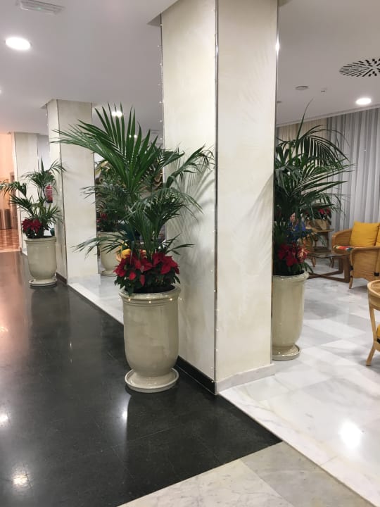 Lobby Bull Escorial & Spa