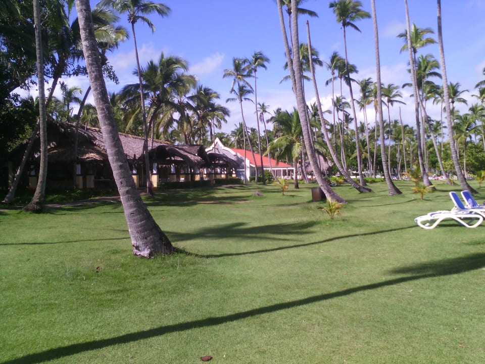 Gartenanlage zusammen mit Strand super Natur Rasenteppich Wyndham Alltra Samana
