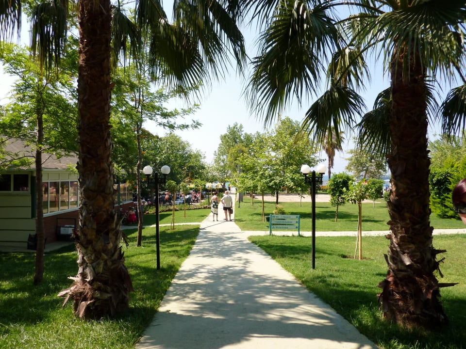 Allee Hotel Gardenia Beach
