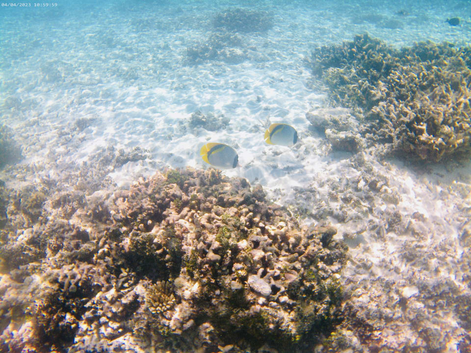 Strand Thulhagiri Island Resort
