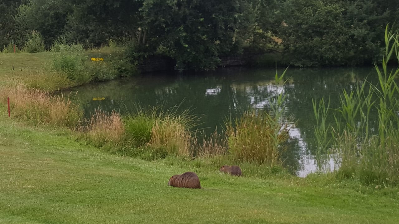 Sonstiges Best Western Premier Castanea Resort Hotel