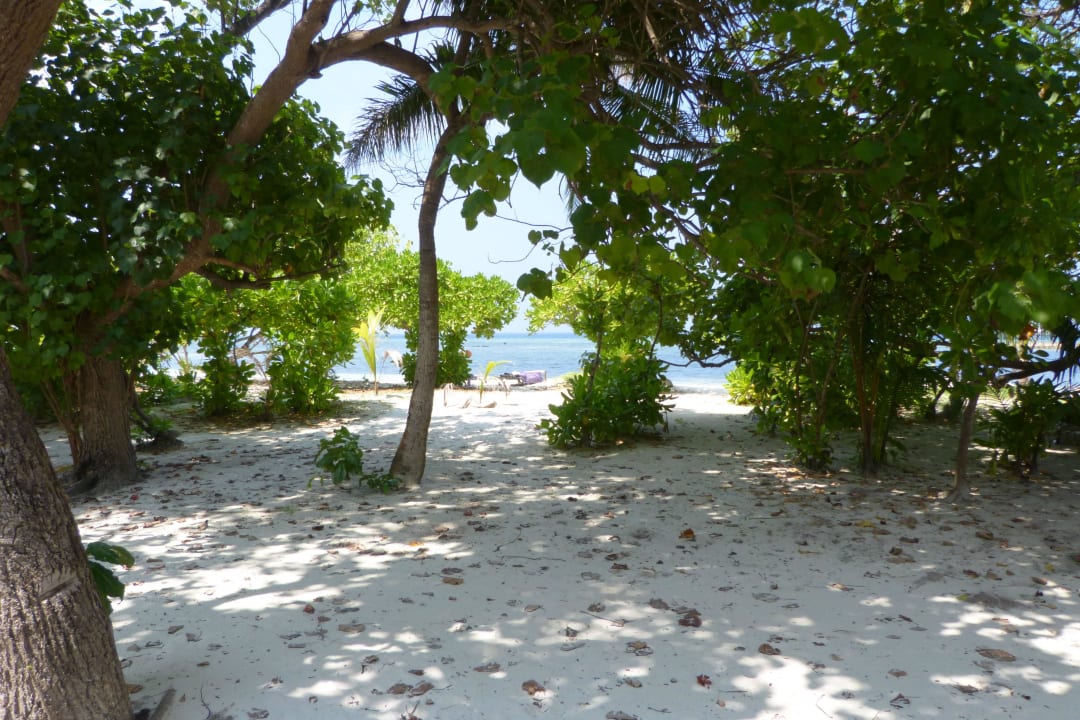 Ausblick Beachbungalow 410 Kuredu Island Resort & Spa