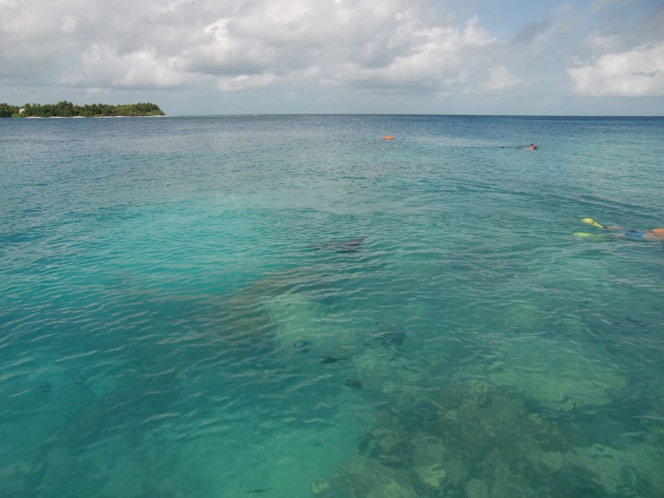 Ausblick Steg Kuramathi Maldives