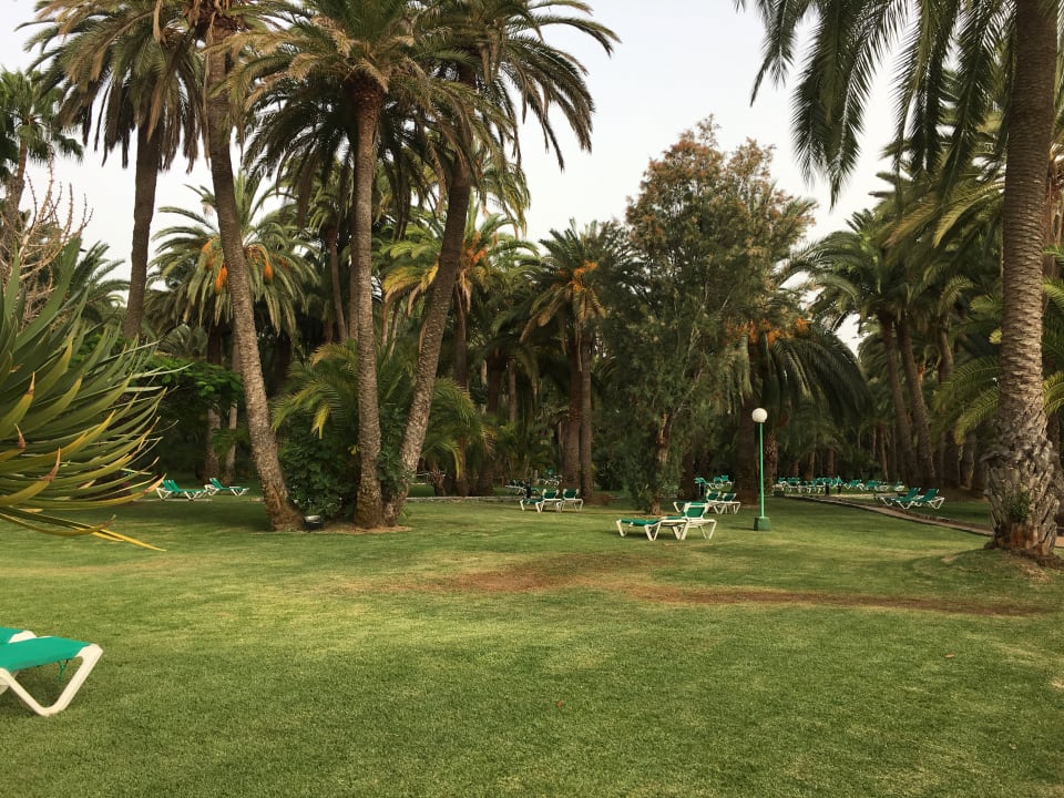 Restaurant Hotel Riu Palace Oasis