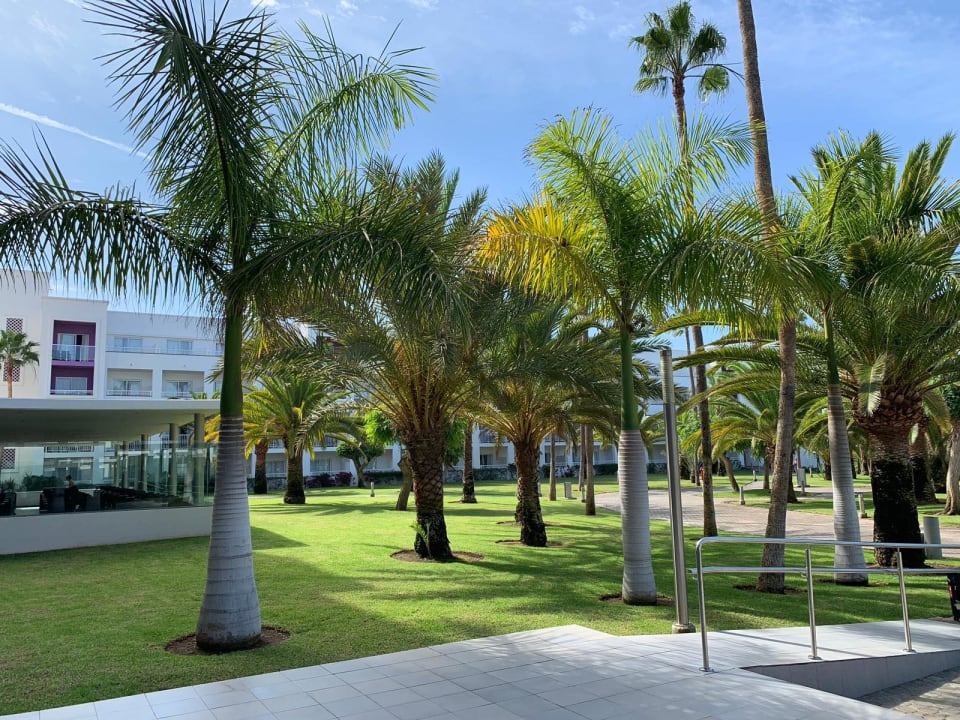 Gartenanlage Hotel Riu Gran Canaria