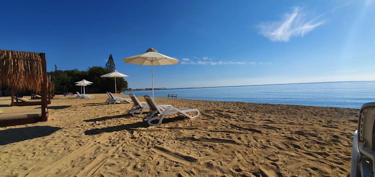 Strand Holiday complex Atlantis Gardens Mazotos - LCA011002-EYB