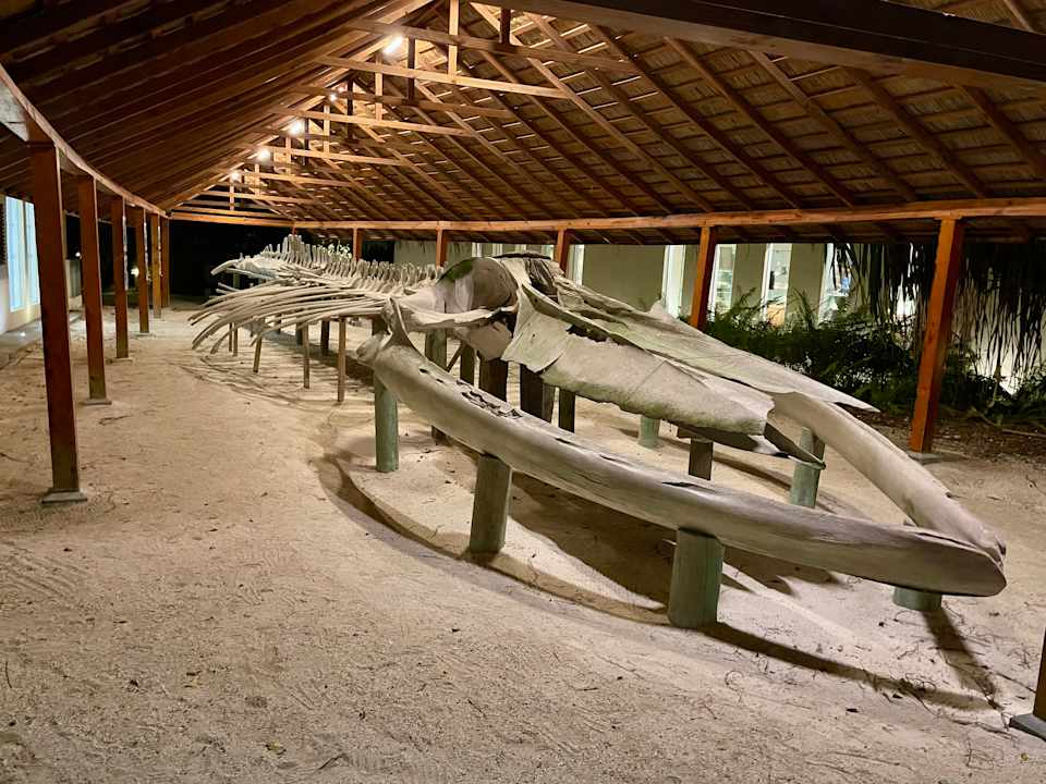 Sonstiges Meeru Maldives Resort Island