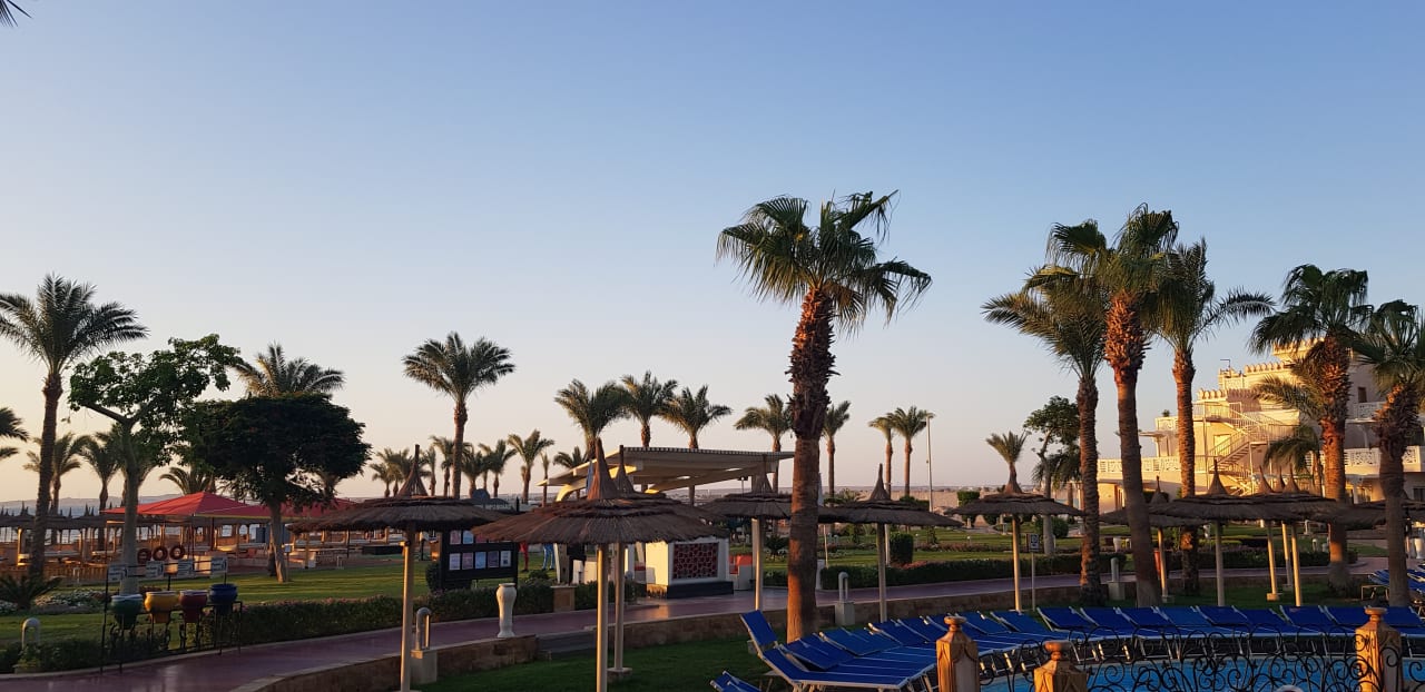Ausblick Pickalbatros Palace Resort