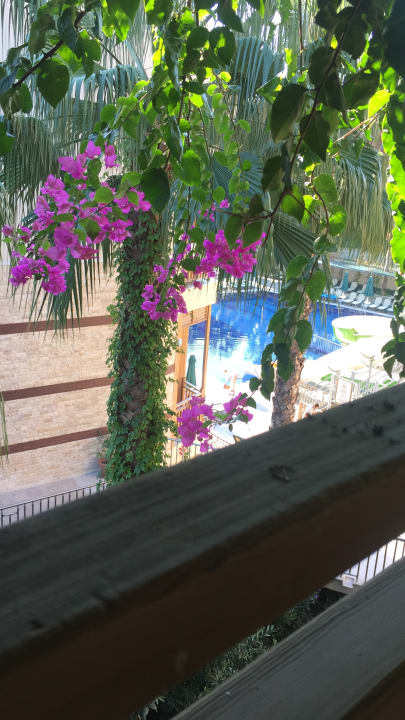 Zimmer Can Garden Resort