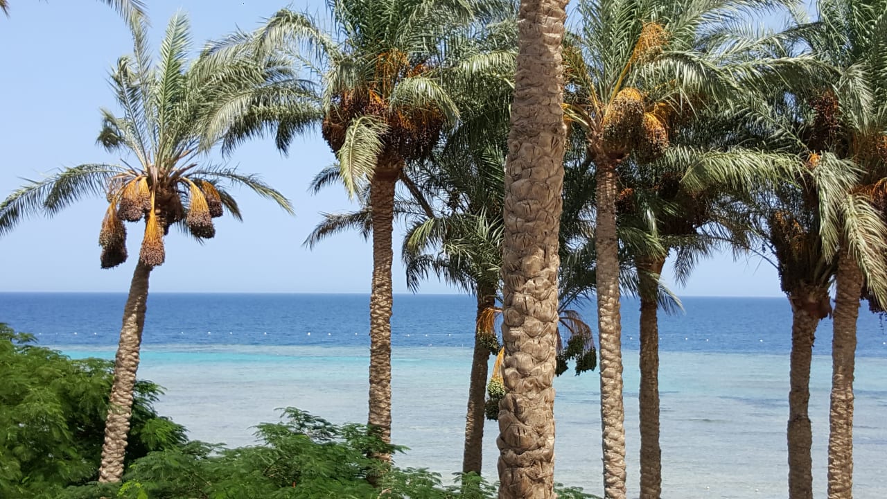 Ausblick Makadi Spa - Adults only