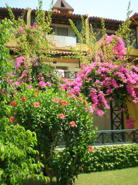 Wunderschöner Garten Saphir Hotel & Villas
