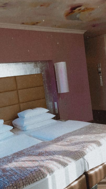 Zimmer Hotel Der Wilhelmshof