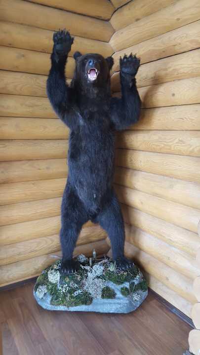 Sonstiges Hotel Lamberg