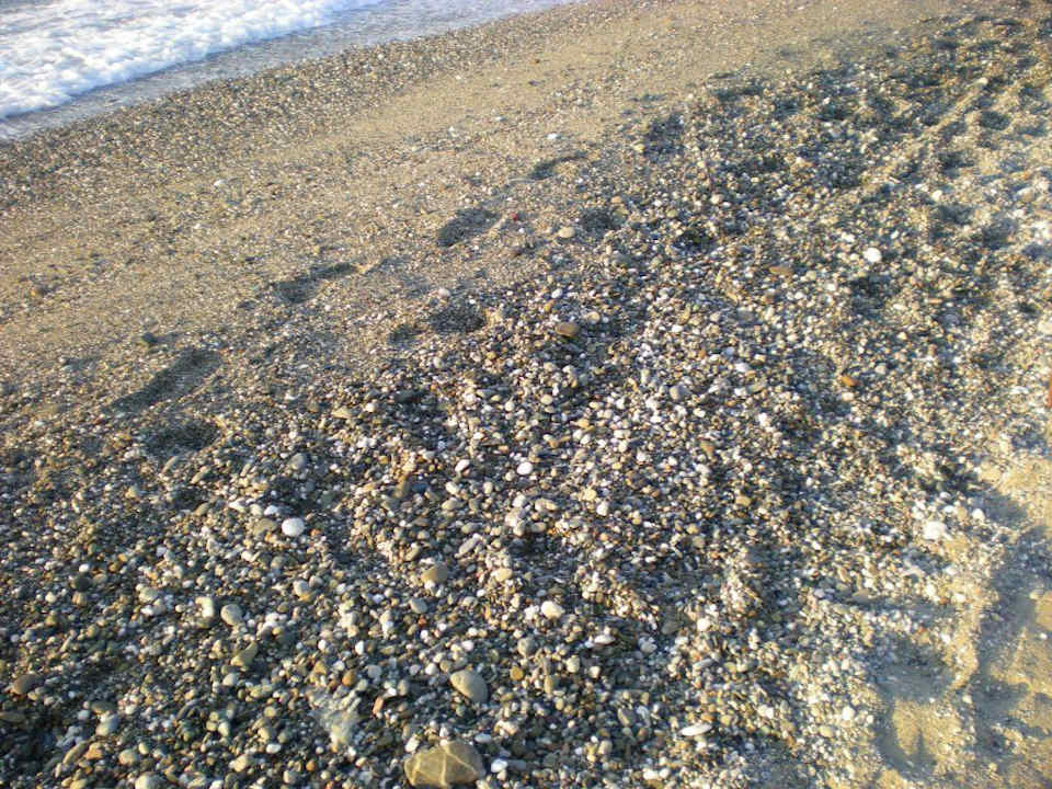 Piaszczysto-kamienista plaża Hotel Kathrin Beach