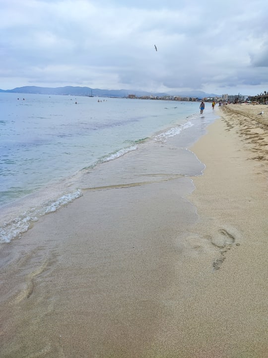 Strand allsun Hotel Pil-lari Playa