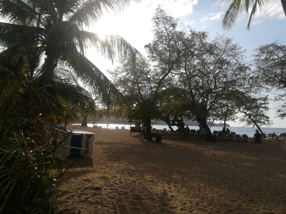 Strand Hotel Riu Guanacaste
