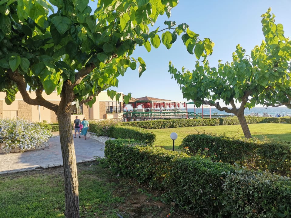 Gartenanlage Aldemar Olympian Village