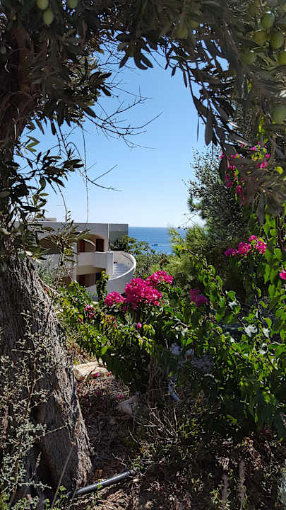 Gartenanlage Hotel Kalithea Horizon Royal