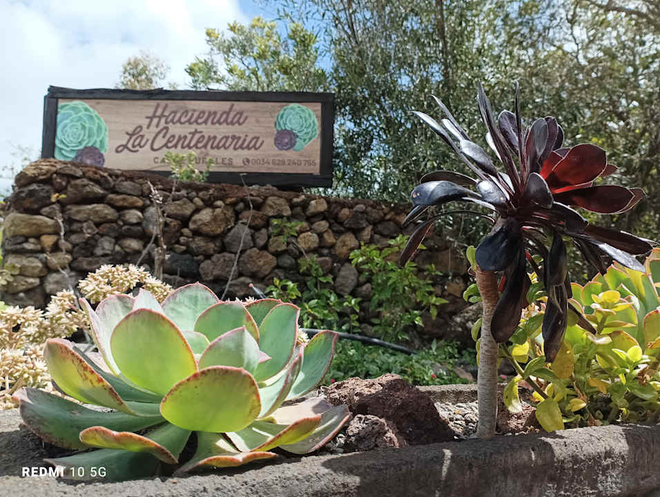Sonstiges Hacienda La Centenaria