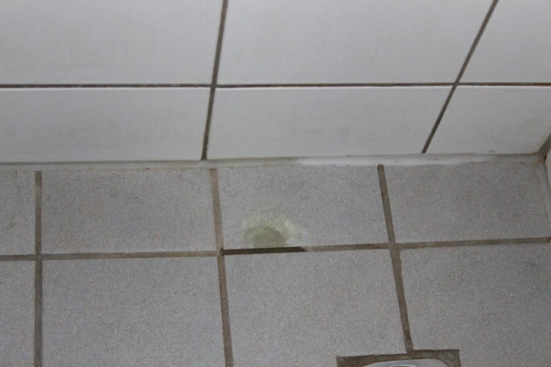 Dusche Obergeschoss Center Parcs Park Nordseeküste