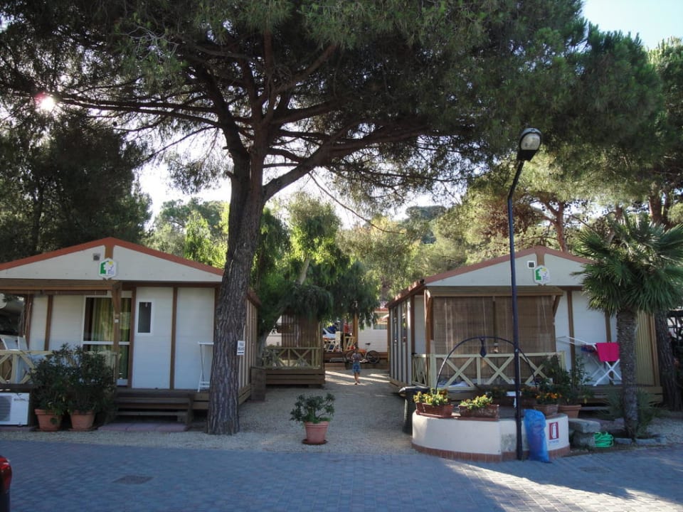direkt an der Strasse..." Camping La Foce in Marina di Campo (Campo nell' Elba)  HolidayCheck (Toskana | Italien)