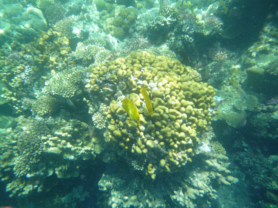 Strand Three Corners Sea Beach Resort