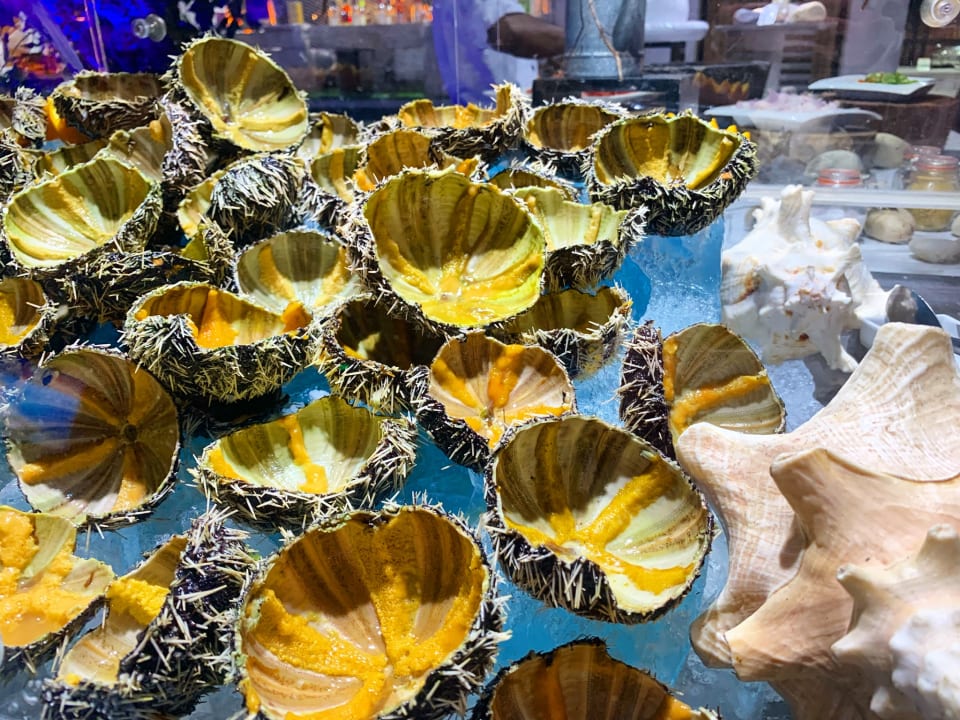 Gastro Lagoon Attitude - Adults only