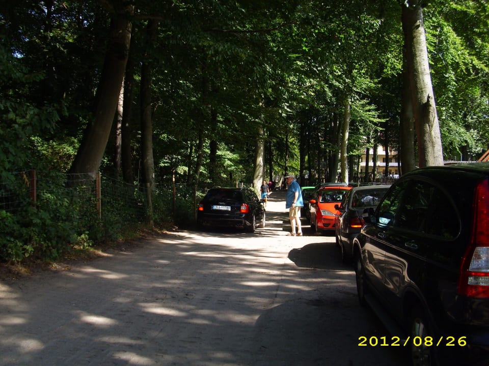 Holperpiste, die zum Appartement führt Hotel Aquamarina