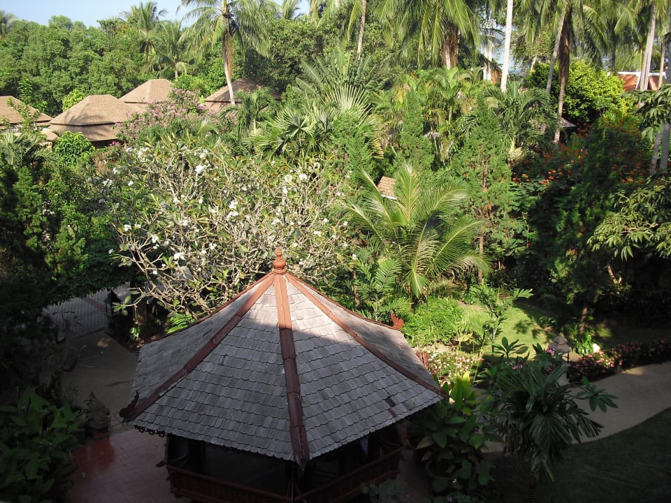 Garten The Fair House Beach Resort