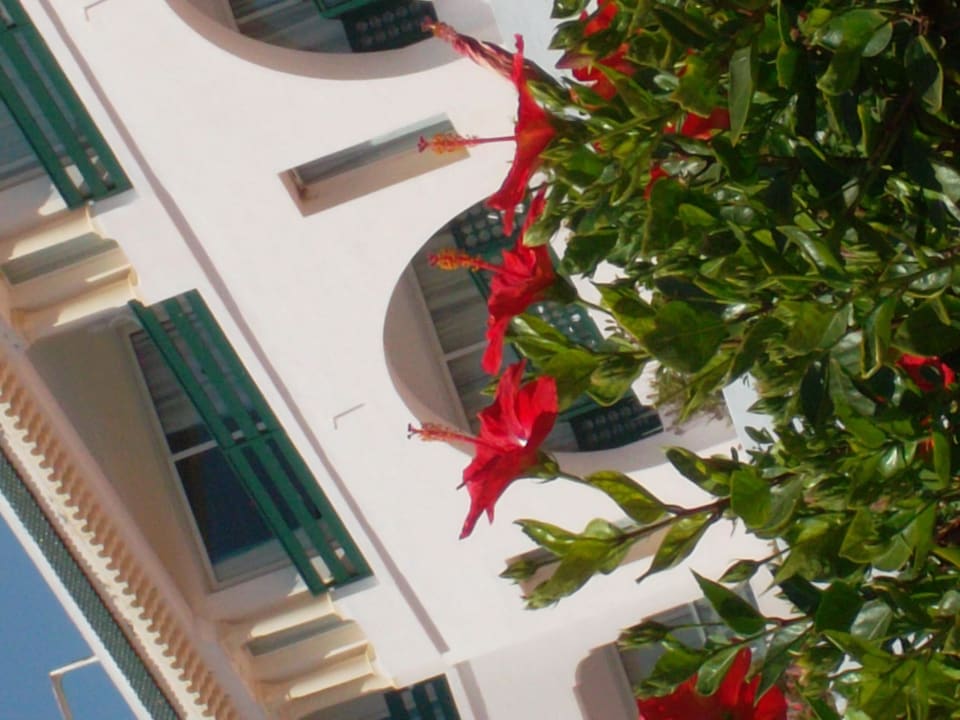 Aussenbereich Hotel El Mouradi Palm Marina