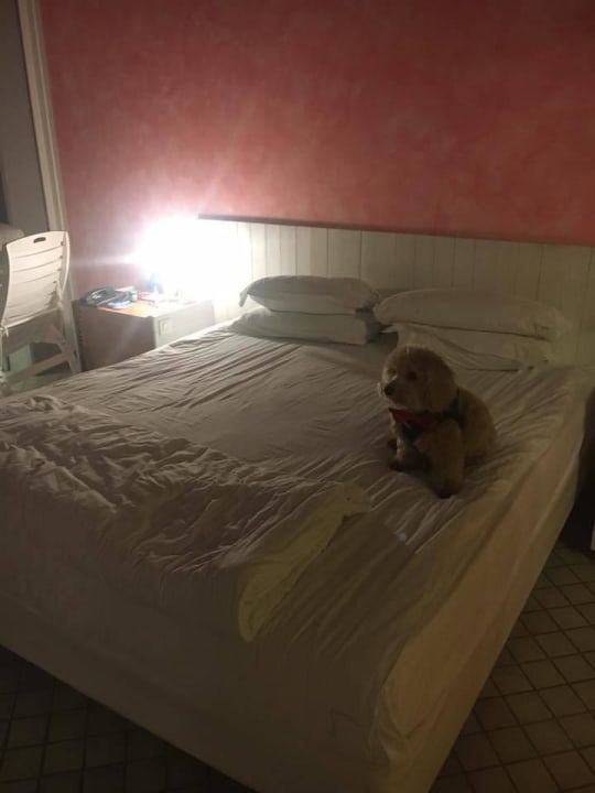 Bett The Marmara Antalya Hotel