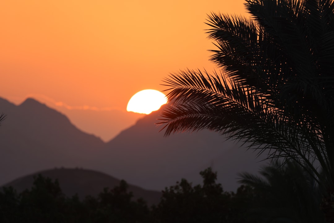 Ausblick TUI MAGIC LIFE Kalawy