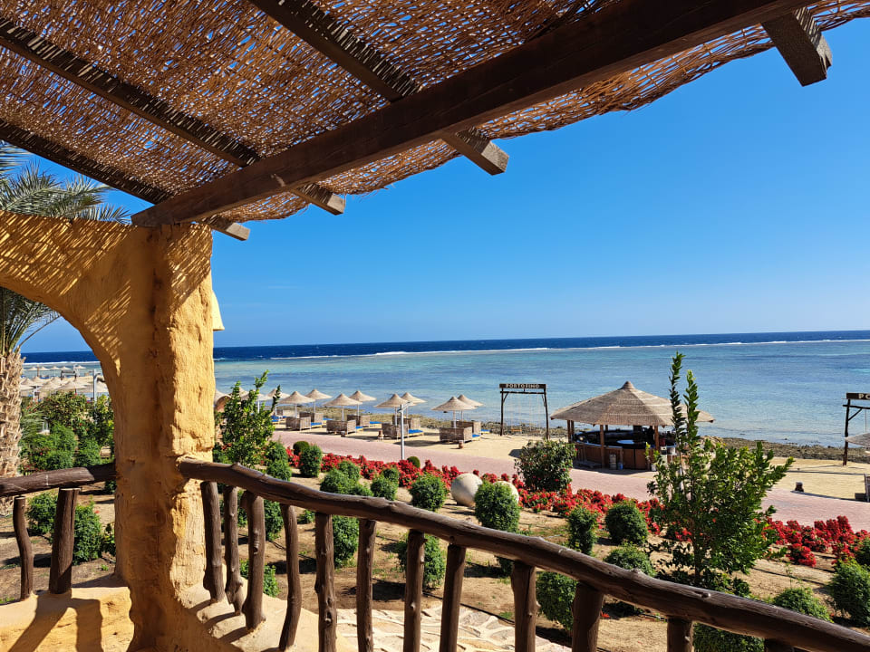 Ausblick Pickalbatros Vita Resort - Portofino Marsa Alam